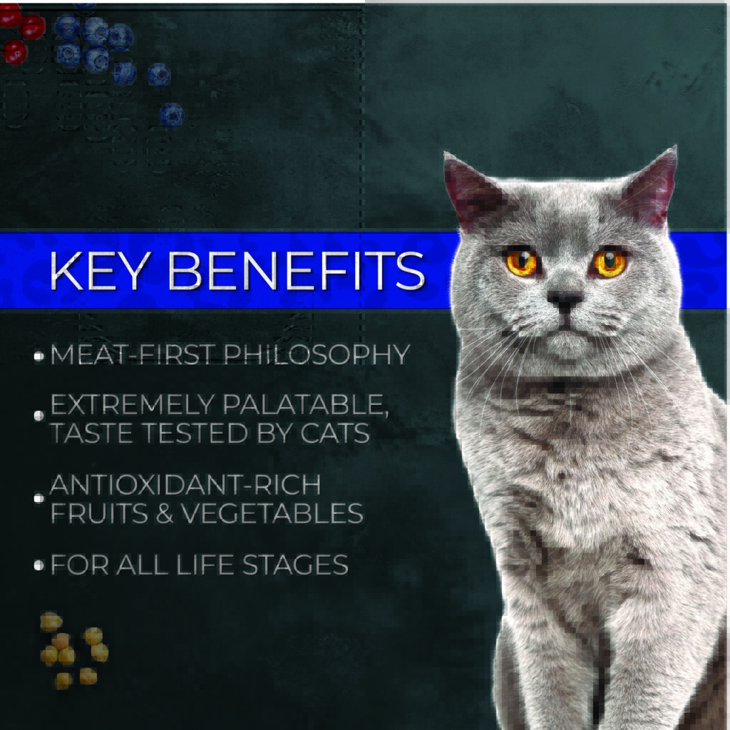 5388040_alt3