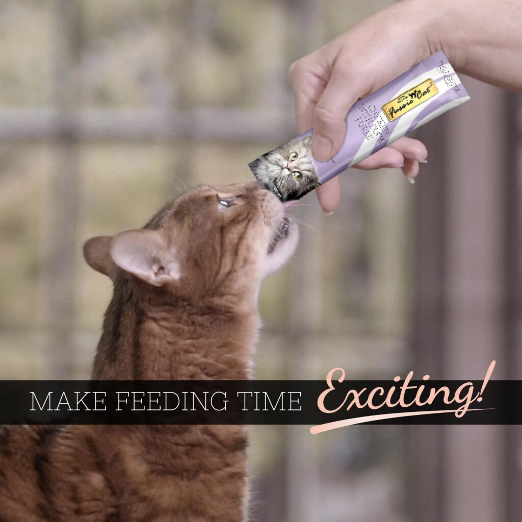 Fussie Cat Retailer Kit