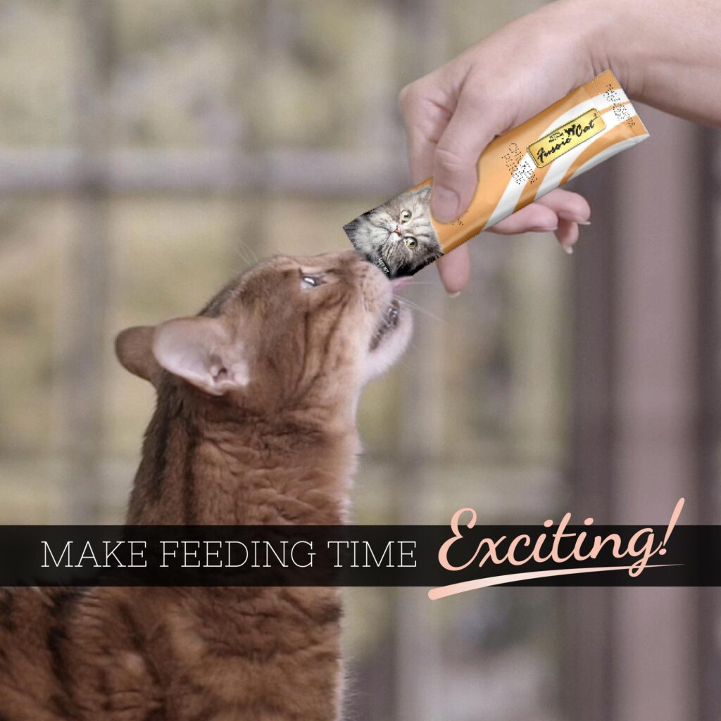 Fussie Cat Retailer Kit