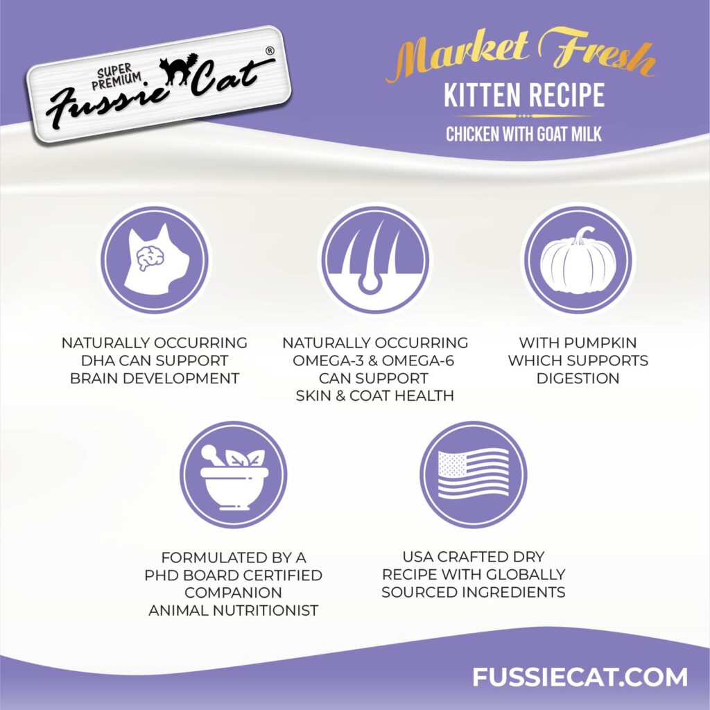 FC Kitten Market Fresh 2