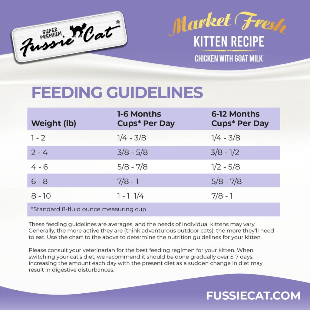 FC Kitten Market Fresh 5