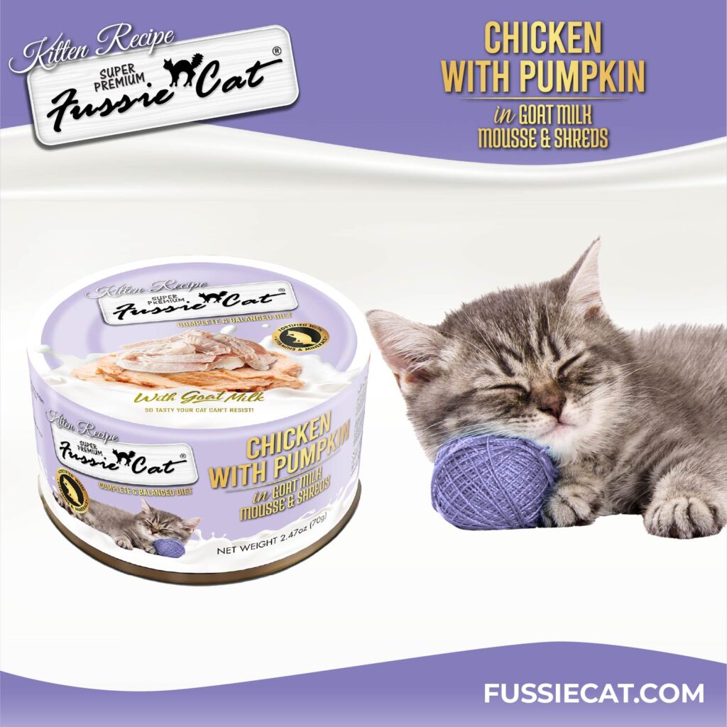 FC Kitten _ChickenMS_can 1