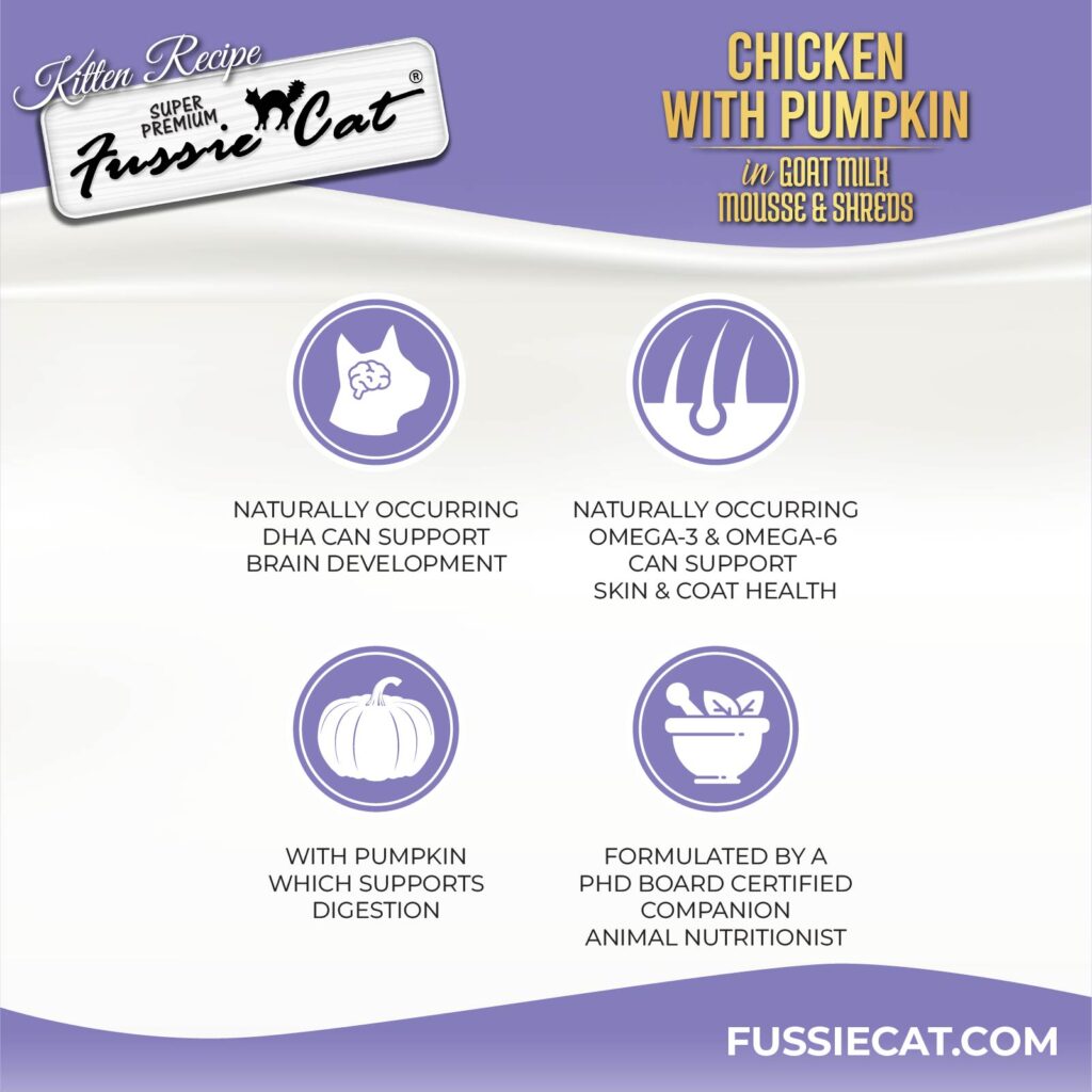 FC Kitten _ChickenMS_can 2