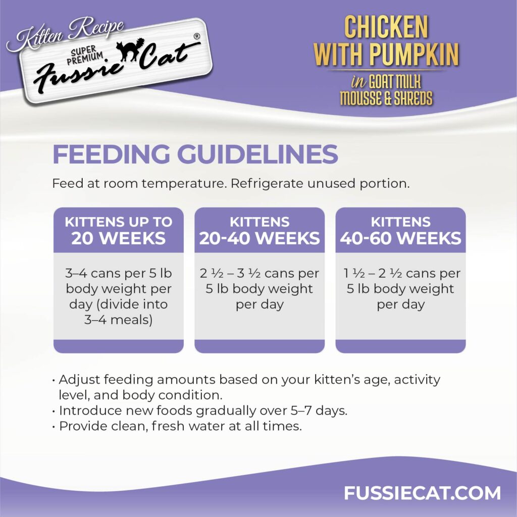 FC Kitten _ChickenMS_can 5