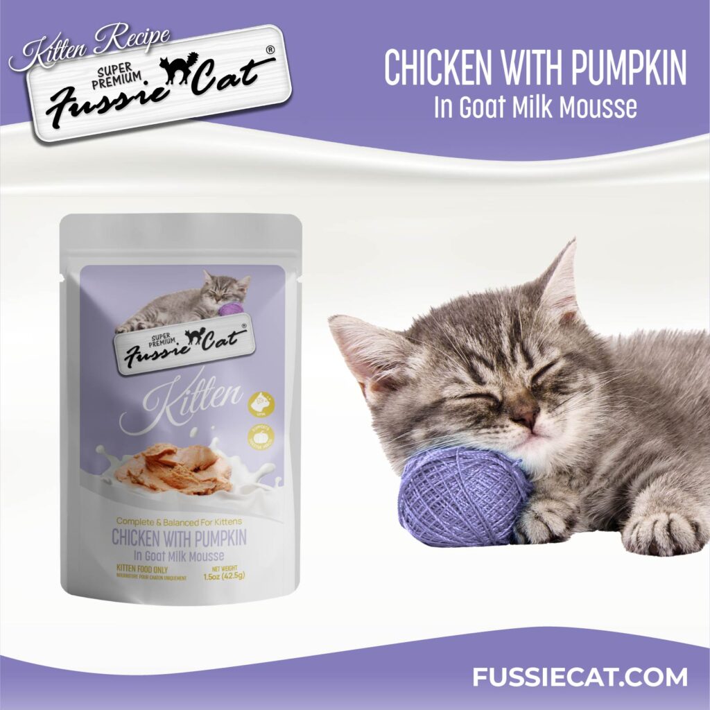 FC Kitten _ChickenM_pouch 1