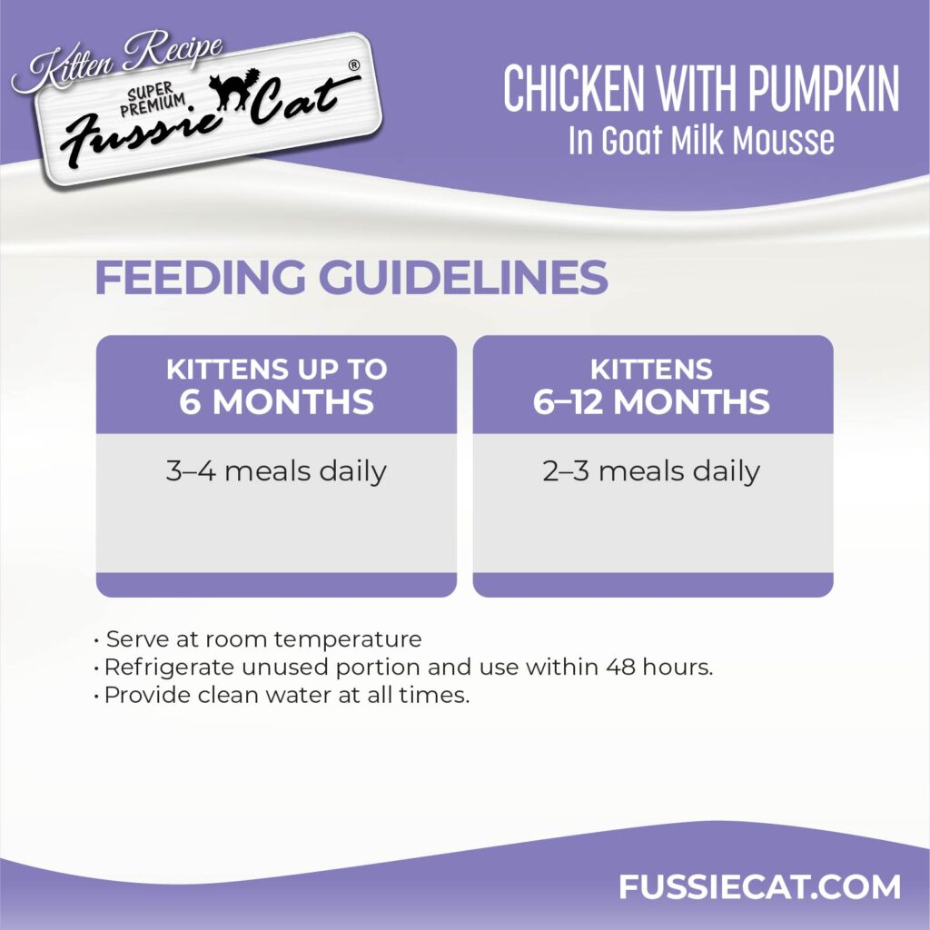 FC Kitten _ChickenM_pouch 5