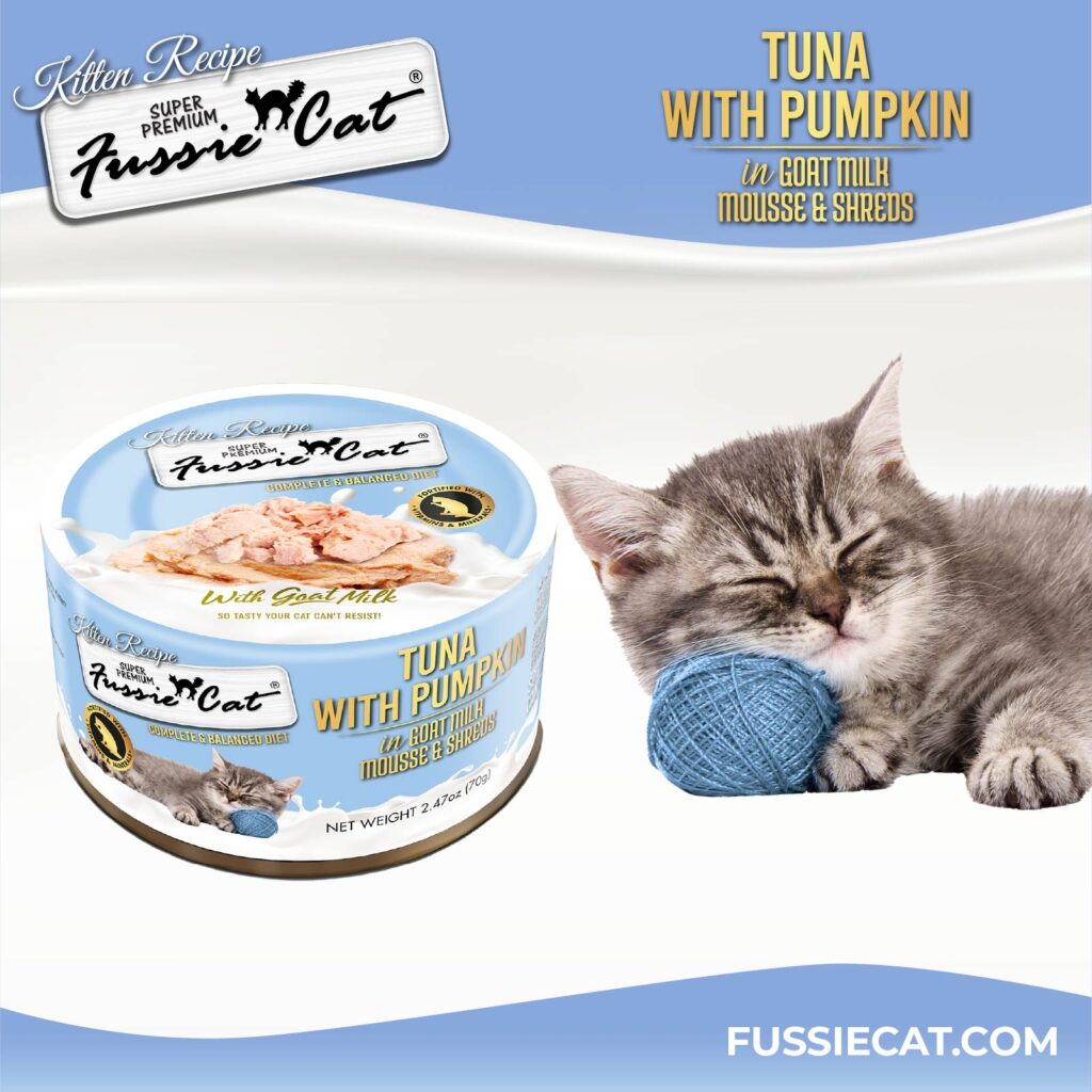 FC Kitten _TunaMS_can 1