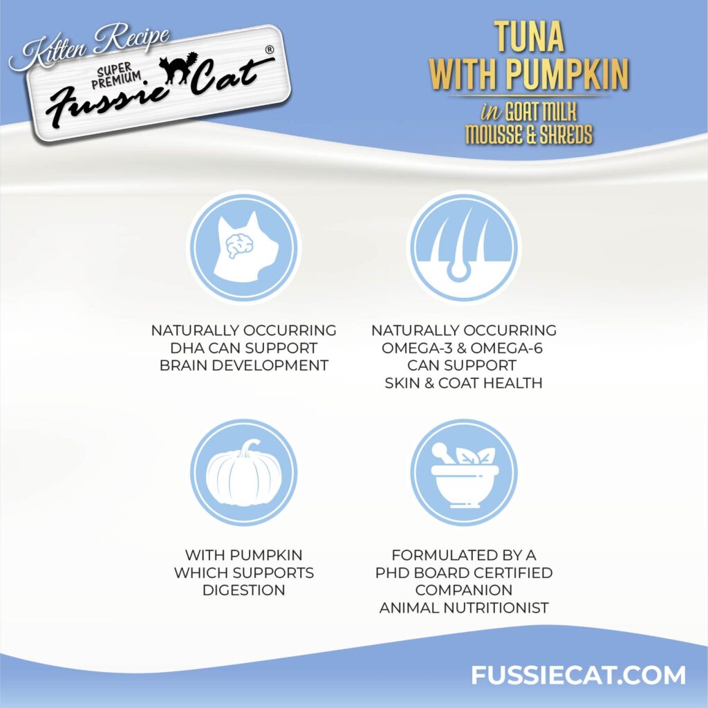 FC Kitten _TunaMS_can 2