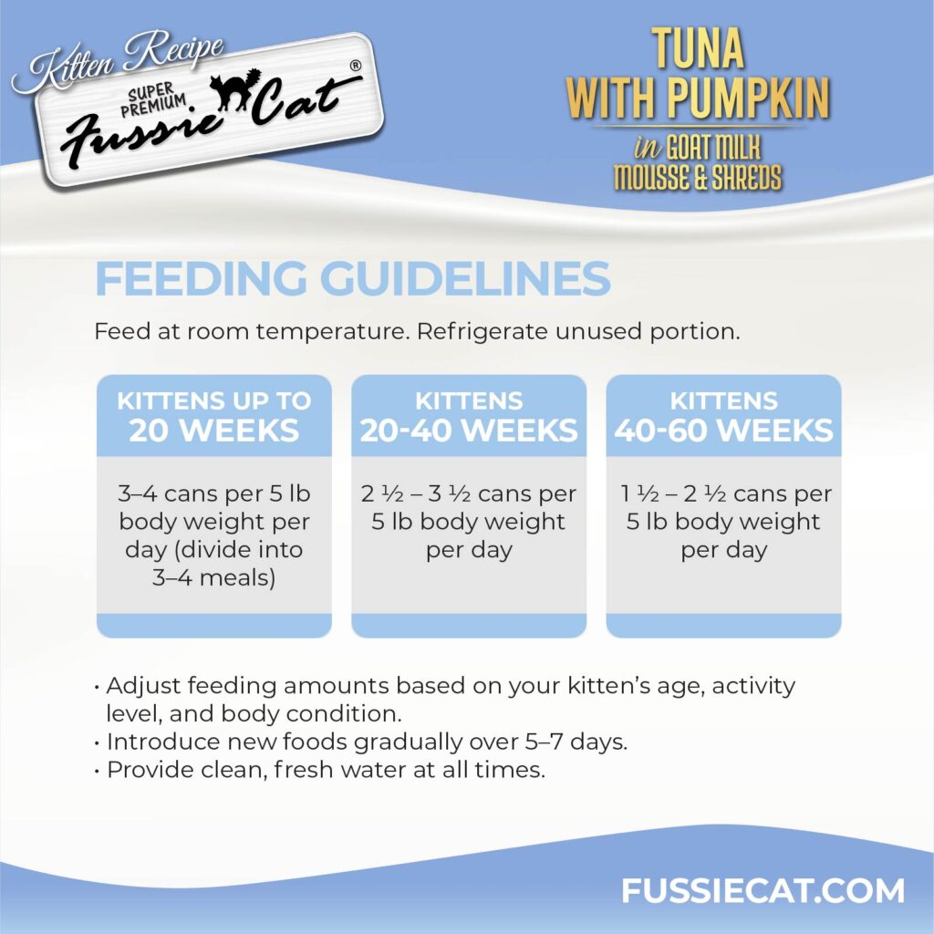 FC Kitten _TunaMS_can 5