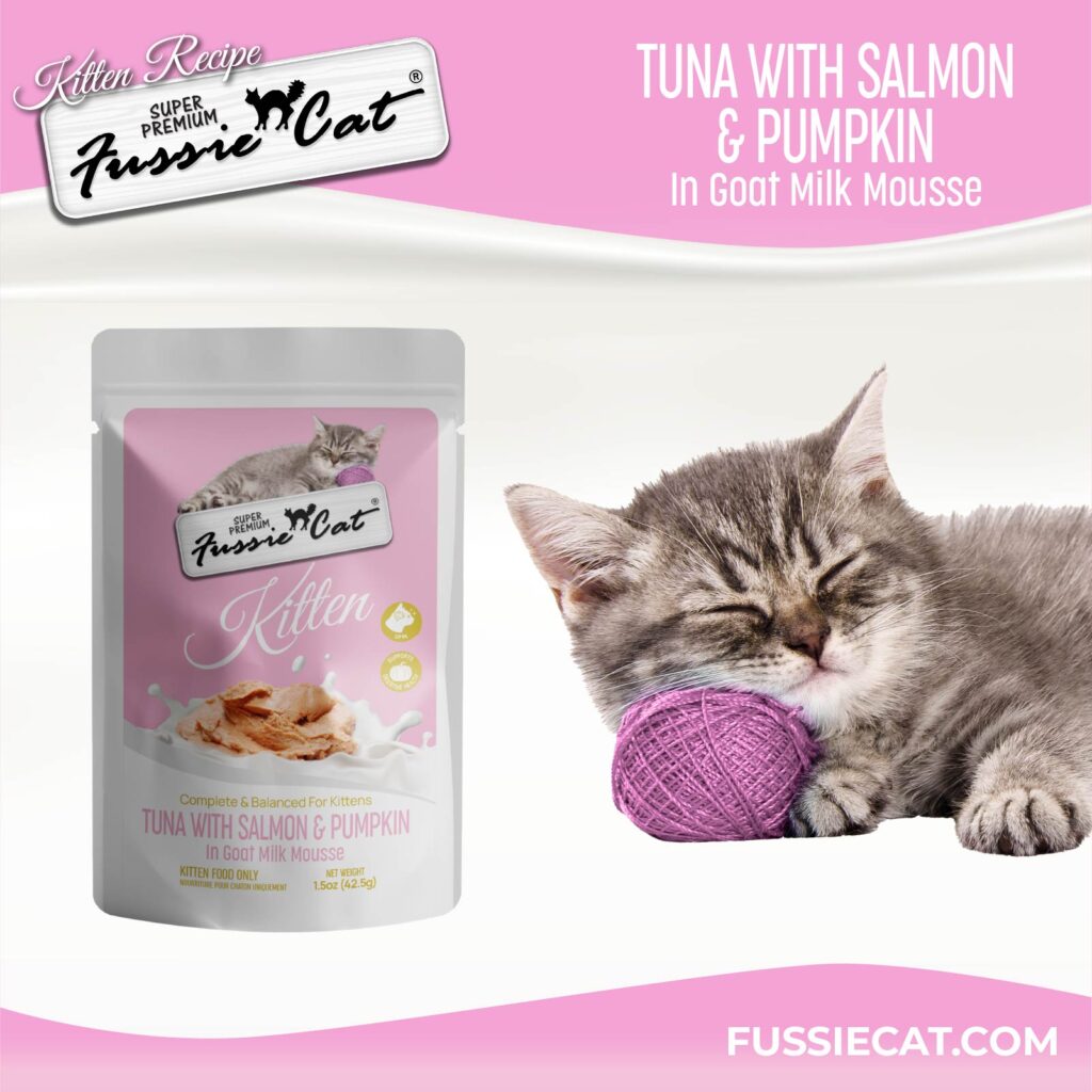 FC Kitten _TunaSalmonM_pouch 1