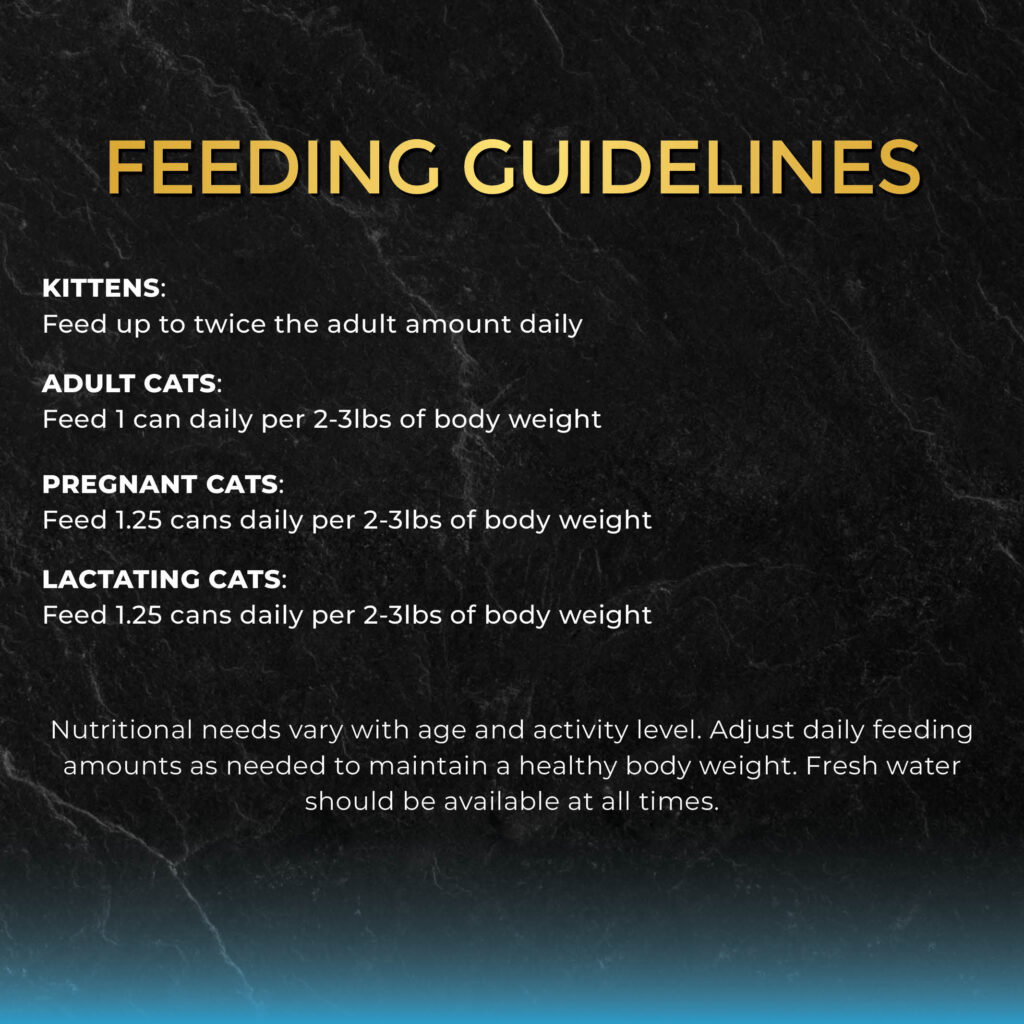 FC_InGravy_TunaAnchovies_7