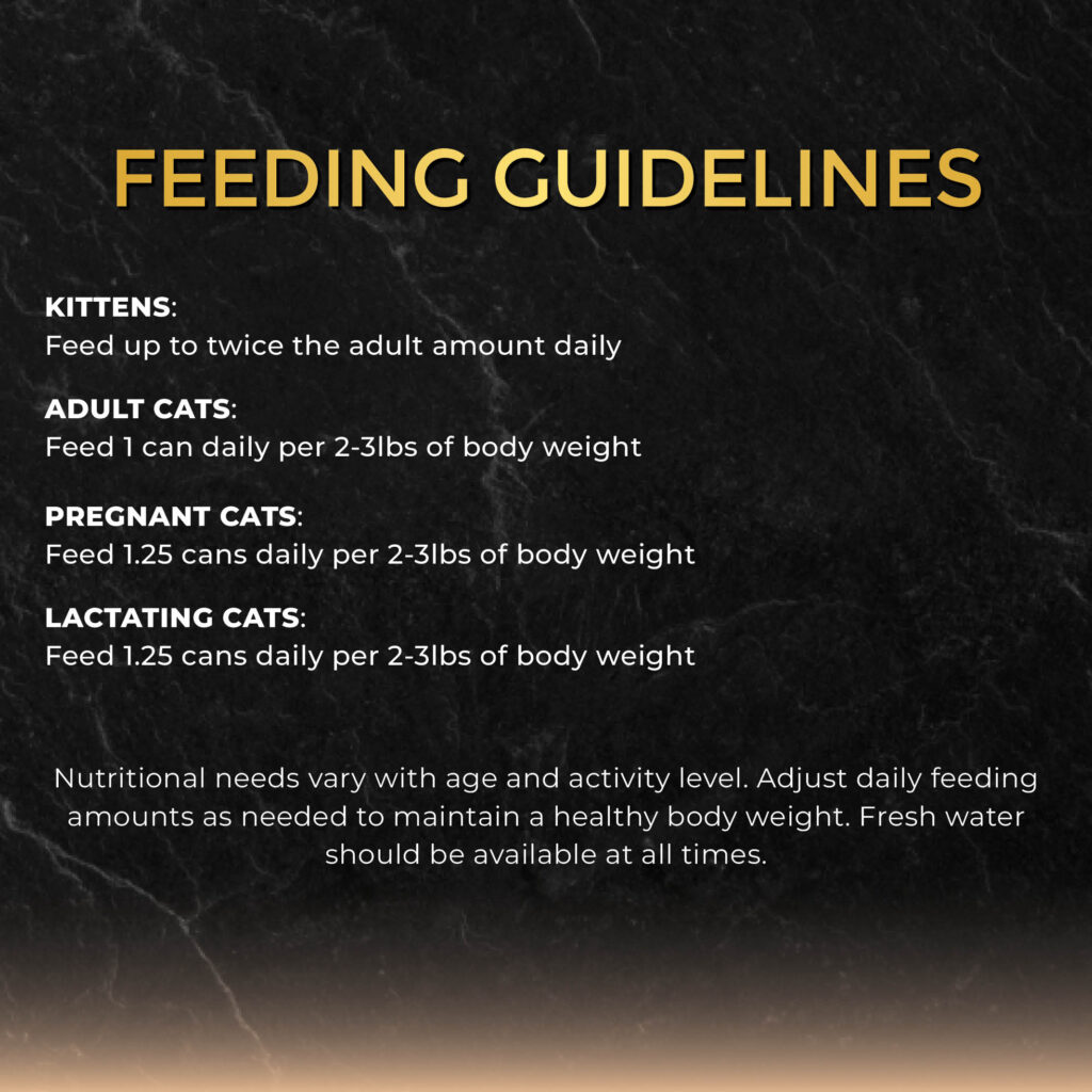 FC_InGravy_TunaPrawn_7