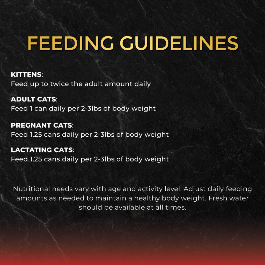 FC_InGravy_TunaSalmon_7