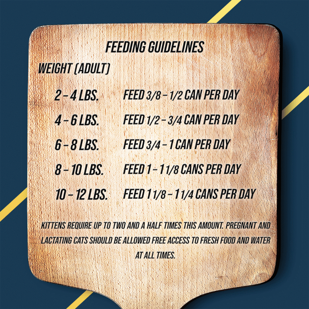 FC_MFcan_TroutSalmon_2