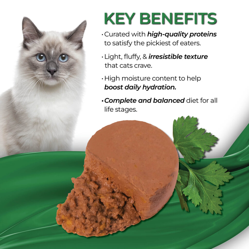 FC_Mousse_OceanFish3