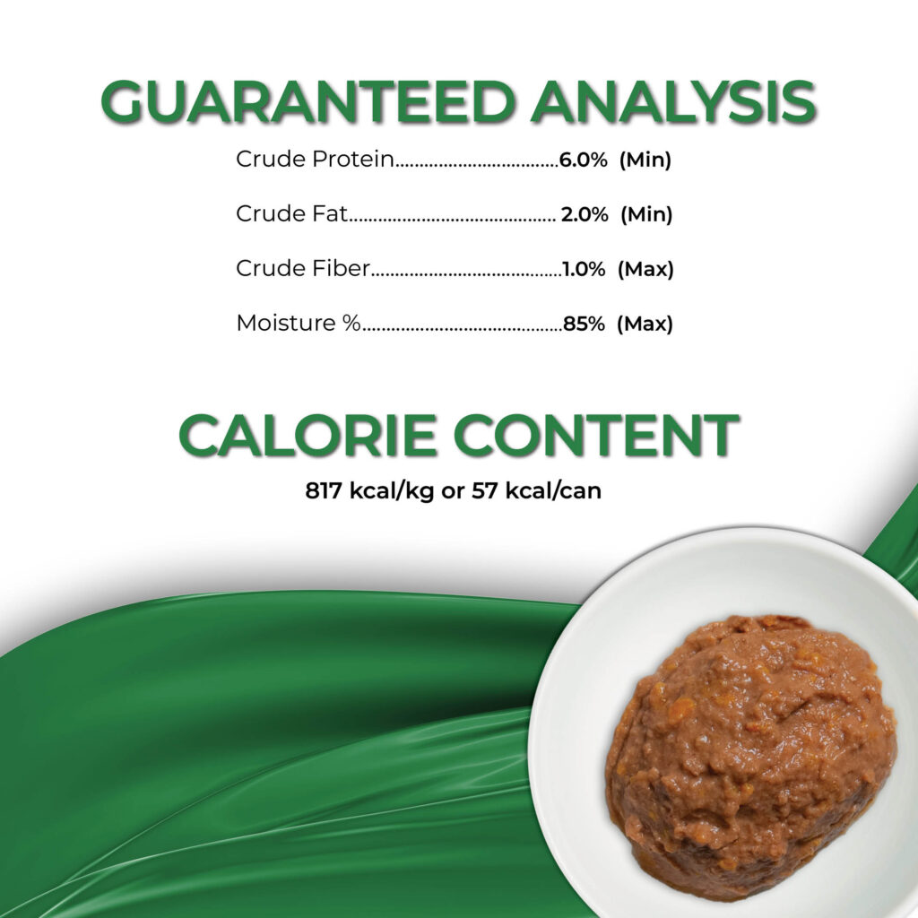 FC_Mousse_OceanFish5