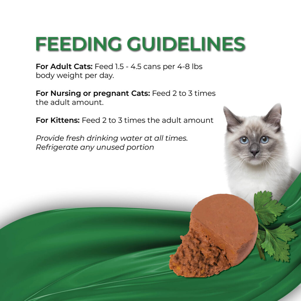 FC_Mousse_OceanFish6