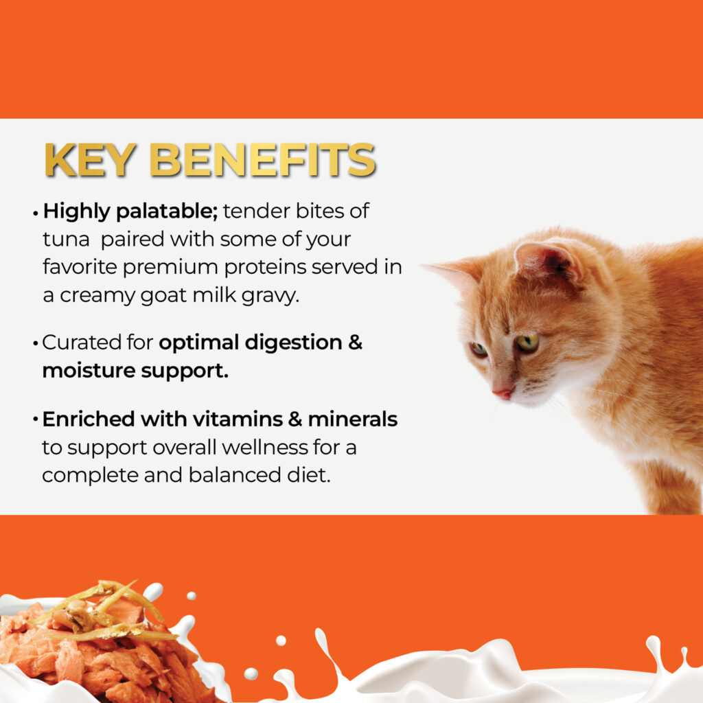 GM_TunaAnchovies_1600x16004