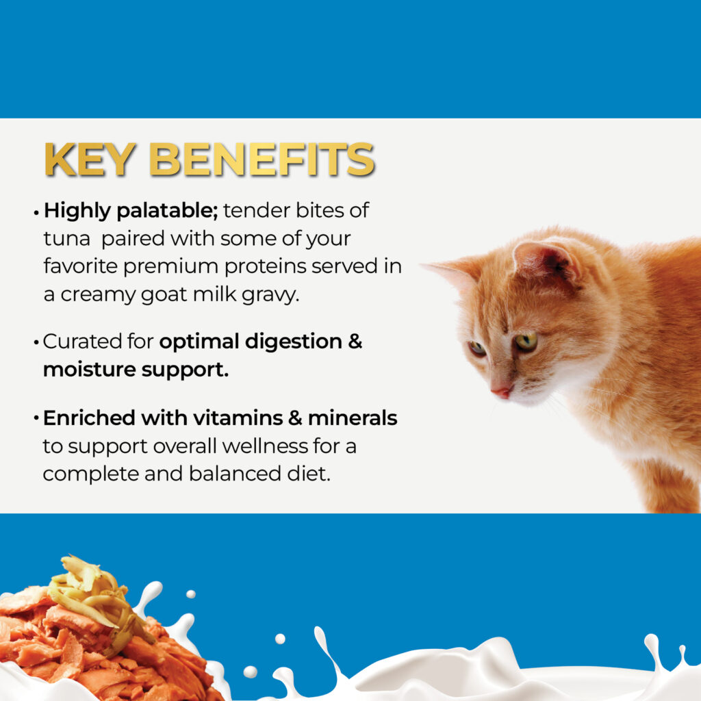 GM_TunaSmallAnchovie_1600x16004