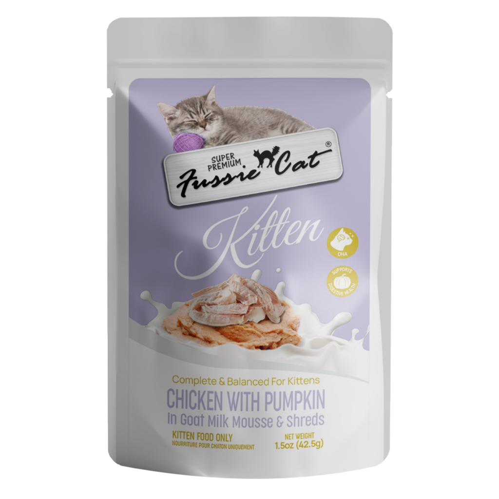 KittenChickenPumpkinPouch