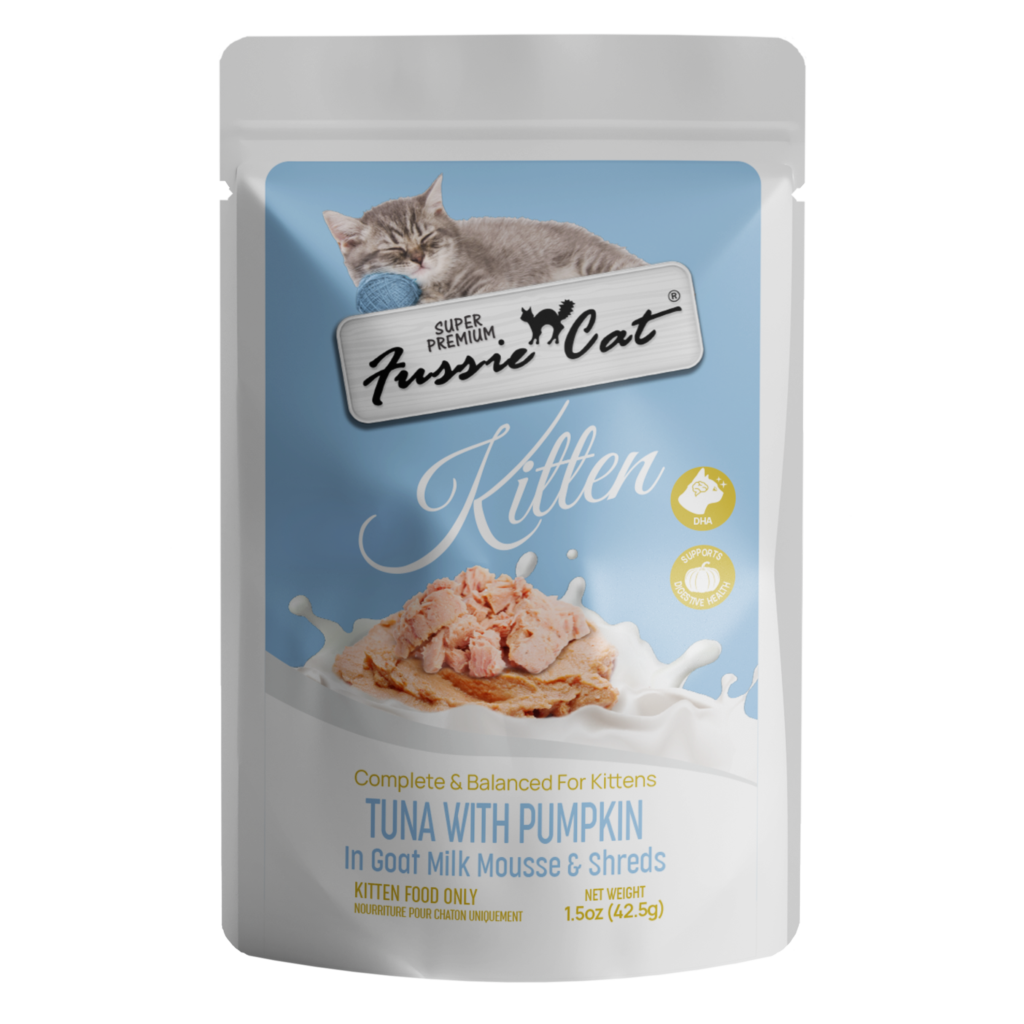 KittenTunaPumpkinPouch