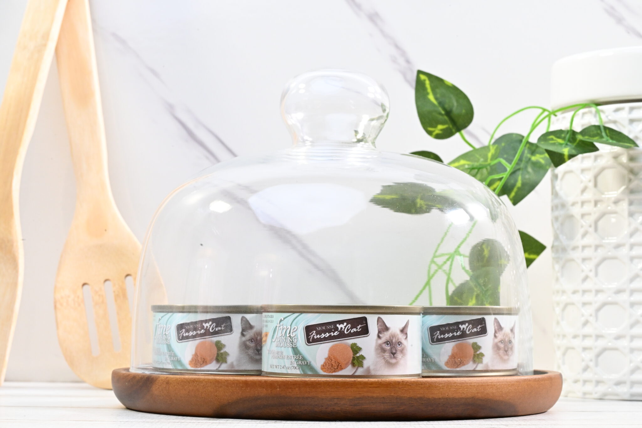 Mousse tuna plater shot