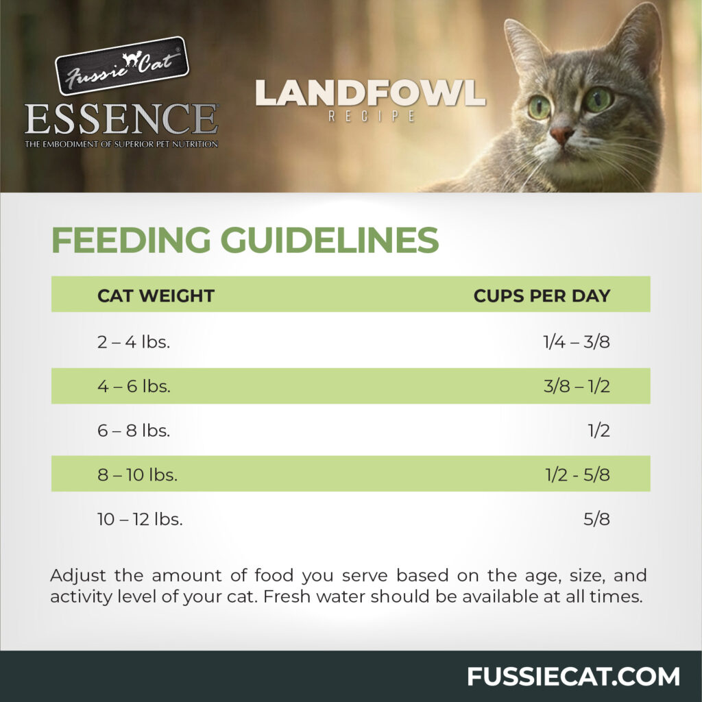FC Essence Landfowl 5-80