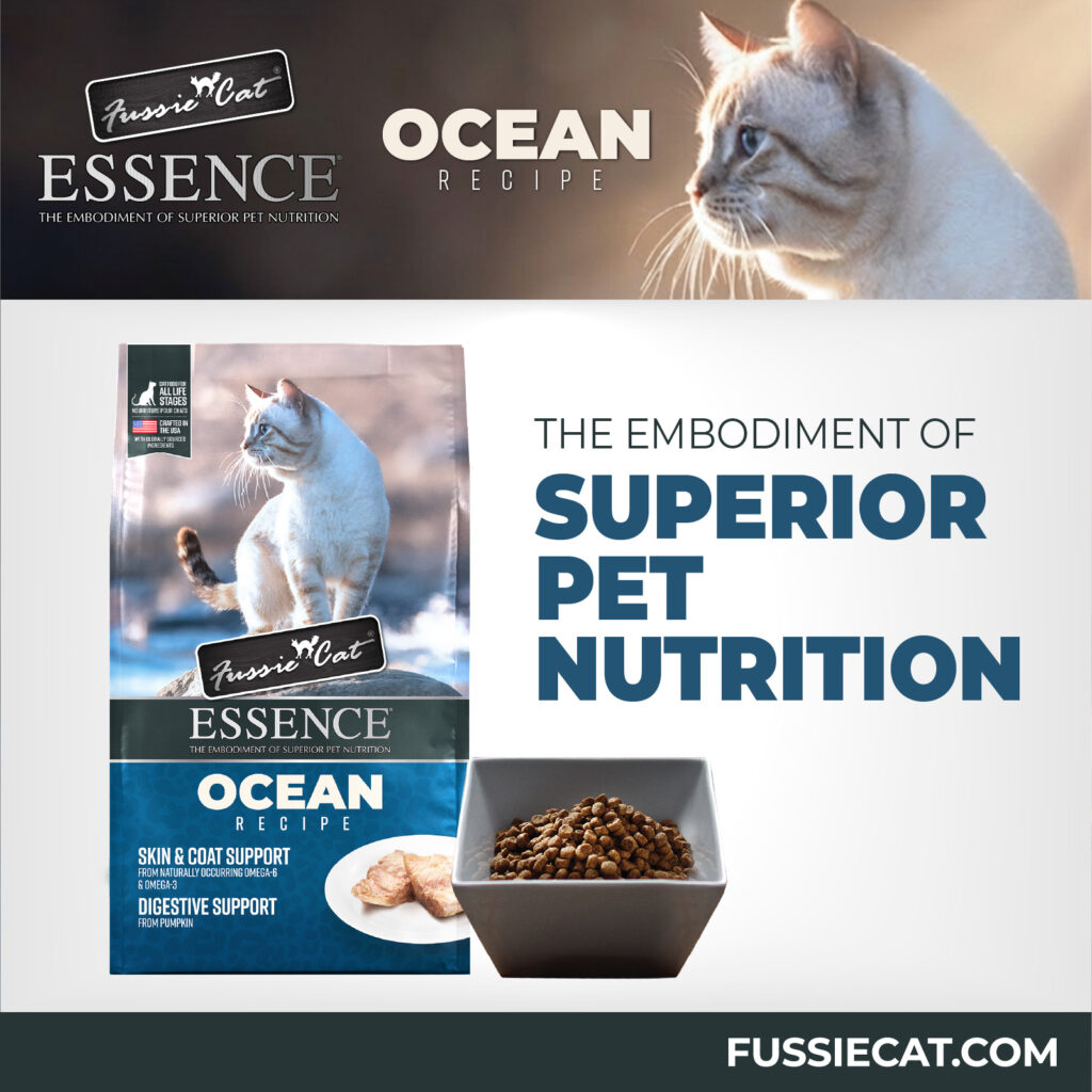 FC Essence Ocean 1-80