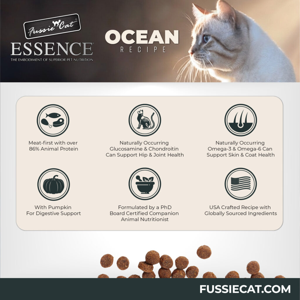 FC Essence Ocean 2-80