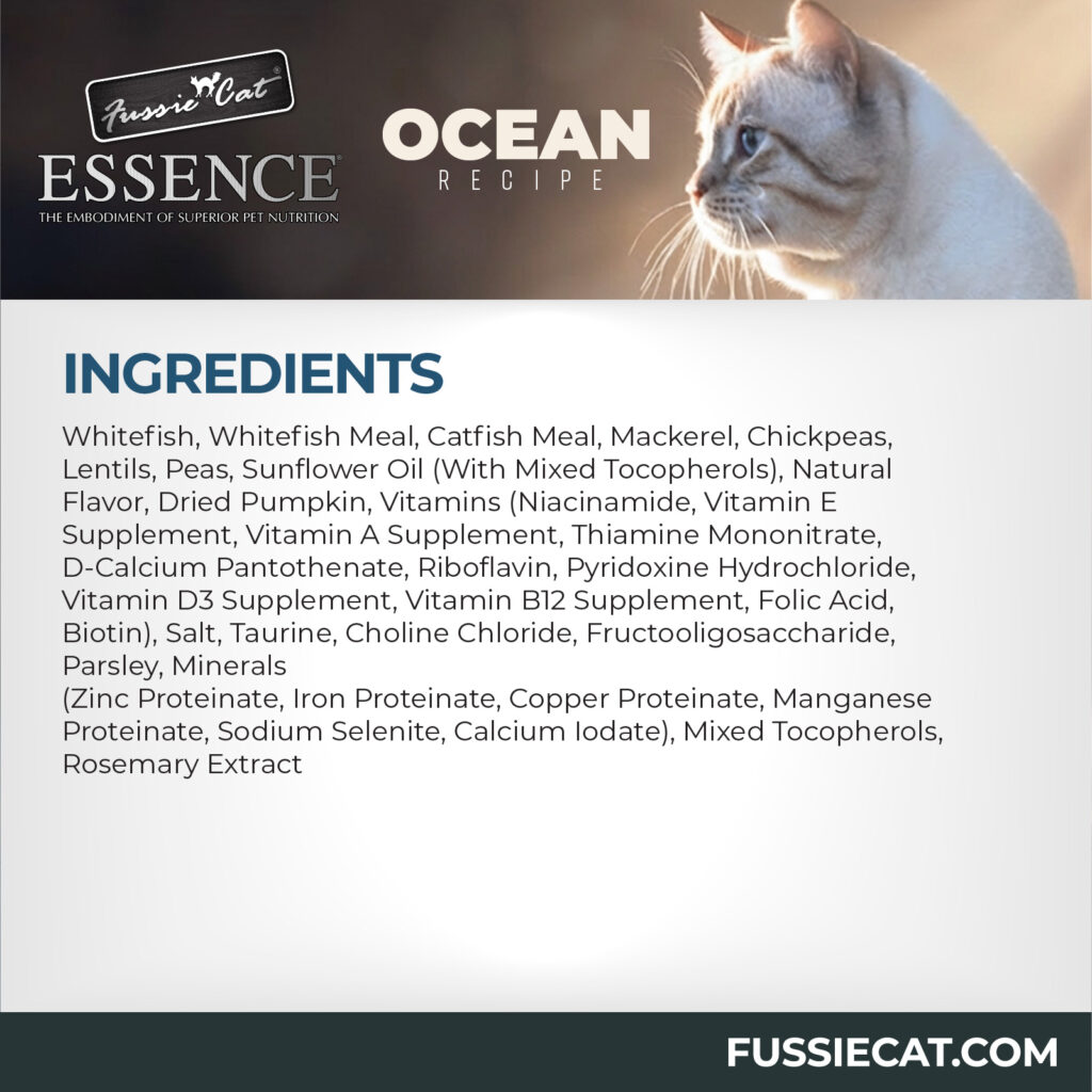 FC Essence Ocean 3-80