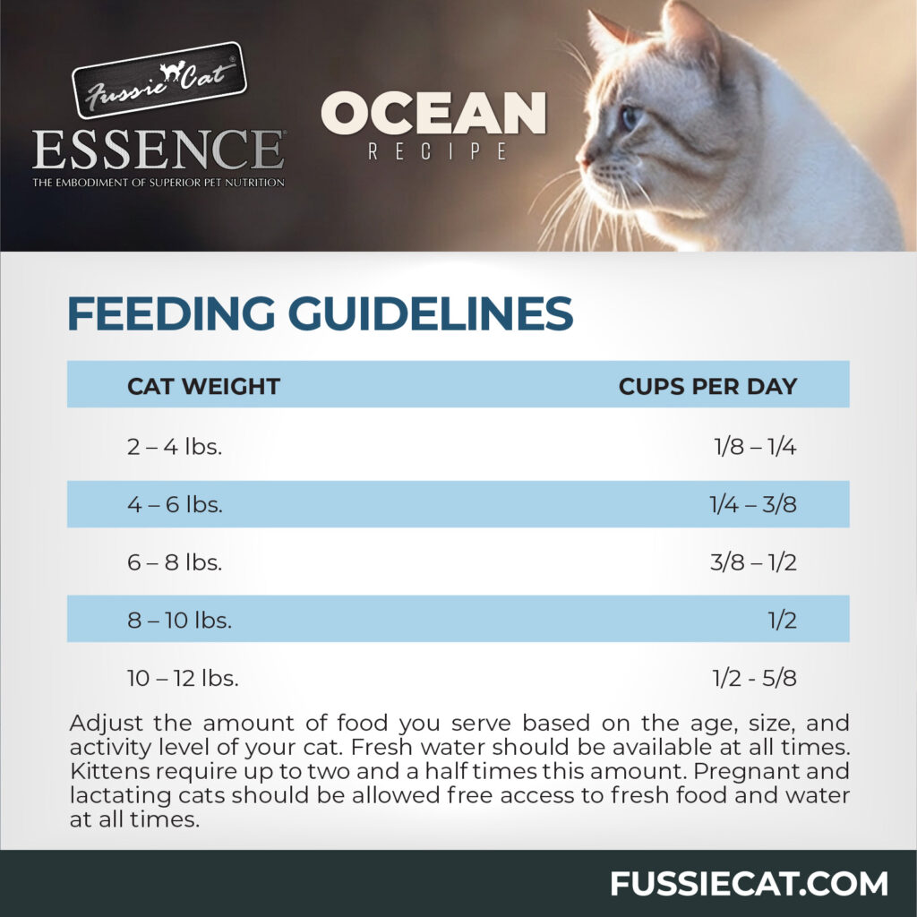 FC Essence Ocean 5-80