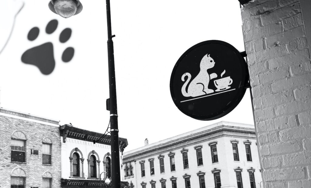exterior of BaristaCats Cafe sign with buildings and streetlight